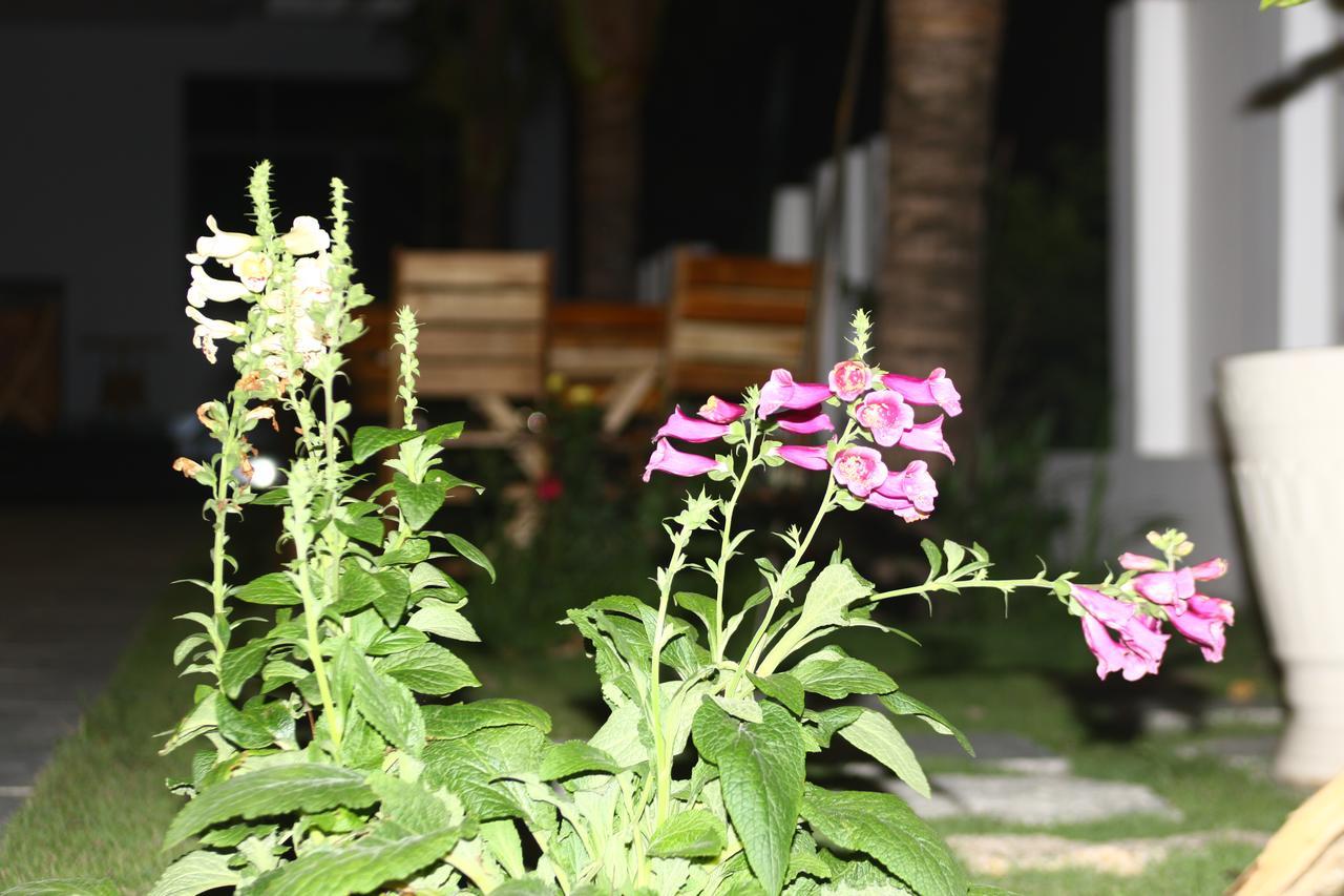 Ocean View Hotel Nha Trang Bagian luar foto